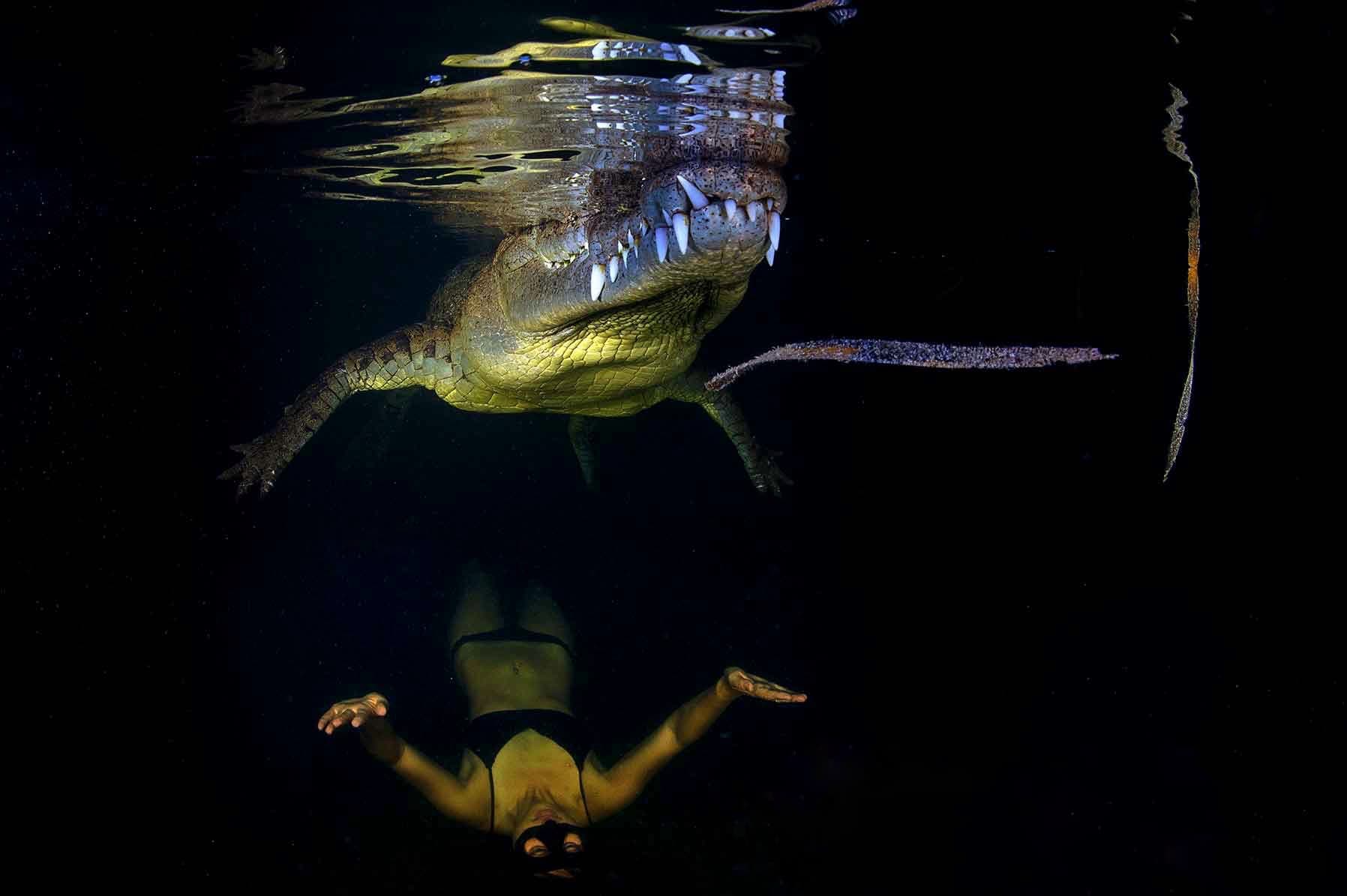 Lab Within - Freediving and transformation